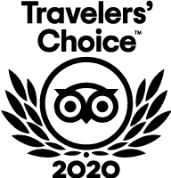RT Travelers Choice award