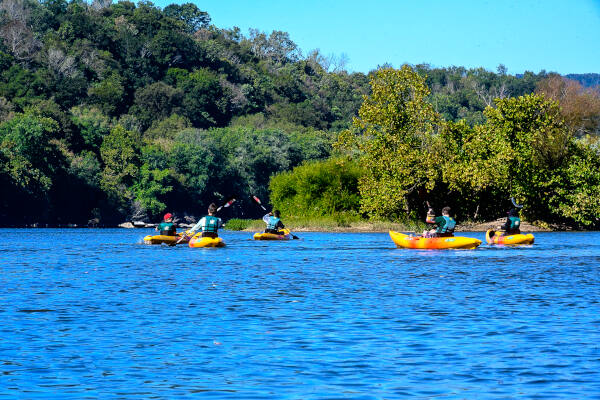 Group of kayak rentals on the Shenandoah River - River and Trail Outfitters