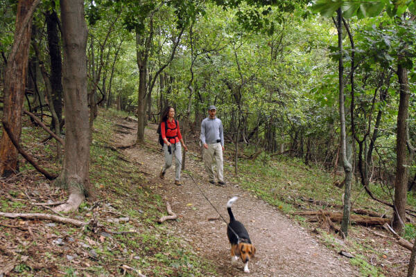 Couple with dog on the Maryland Heights Trail - River & Trail Outfitters
