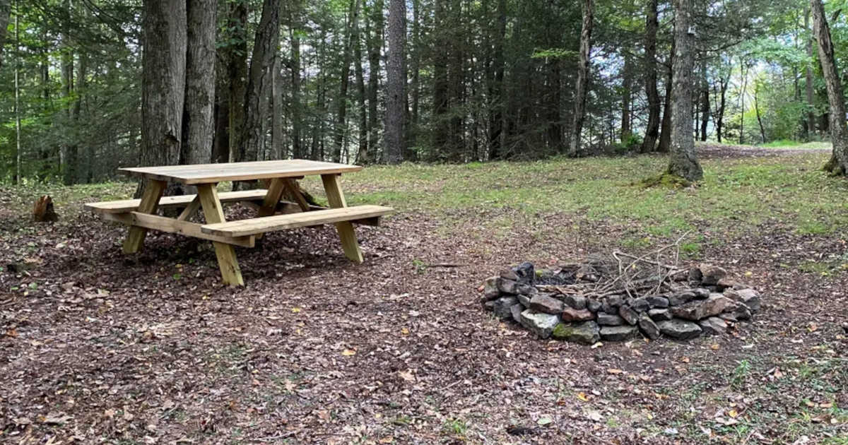 Enjoy tent camping with picnic table and fire pit at Sleepy Hollow Campground.